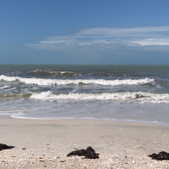 Meet your Posher, Ava - Picture 1 of 1